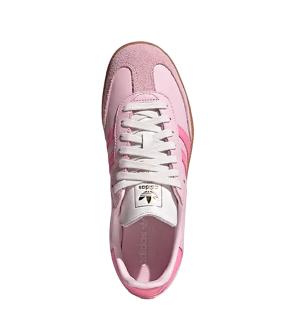 Adidas Samba OG Neapolitan Pack Clear Pink (Women's)